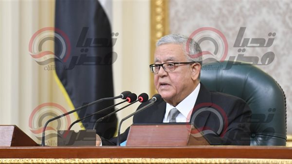  المستشار الدكتور