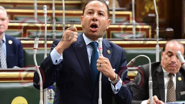  النائب حسن عمار