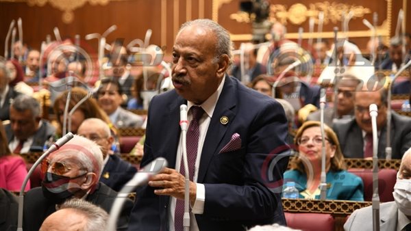 النائب هاني العسال