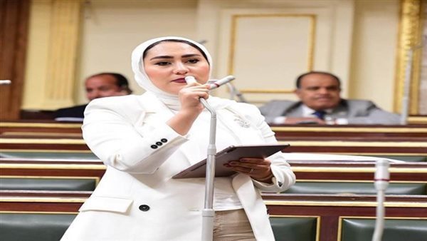 النائبة أية فوزي