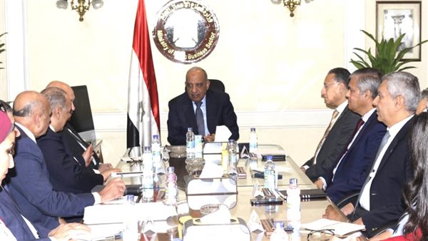 وزير قطاع الأعمال