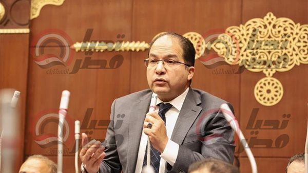  النائب عادل اللمعي