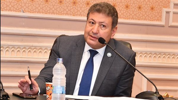  النائب طارق شكري