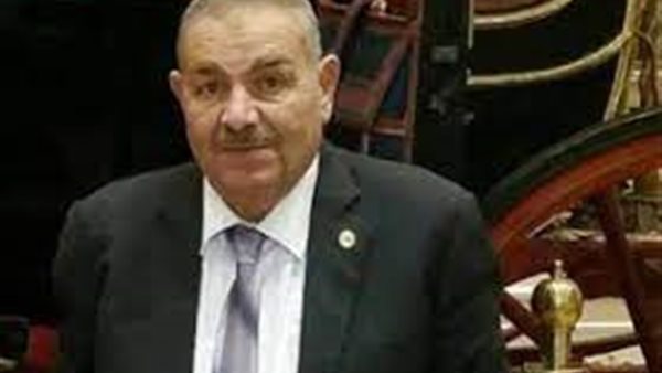 النائب محمد عبد الحكيم