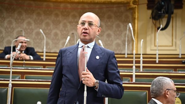 النائب هشام حسين