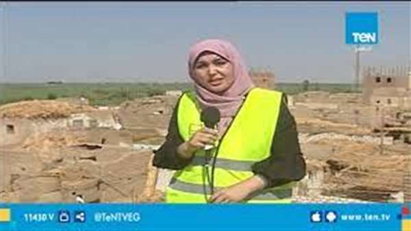 الدكتورة نجوى الهواري