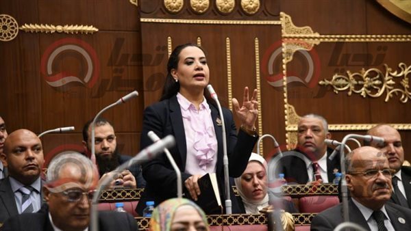  النائبة راجية الفقى