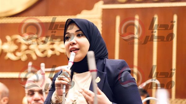 النائبة دينا هلالي