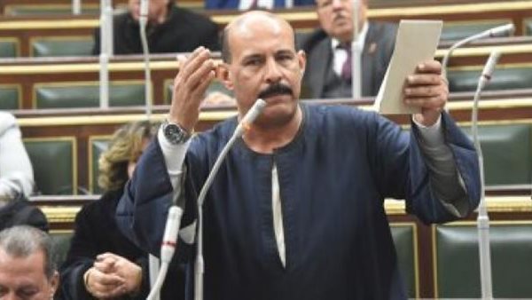 النائب فتحي قنديل