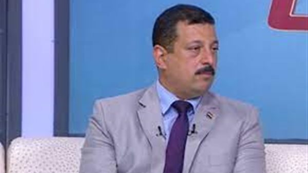 ايمن حمزة المتحدث