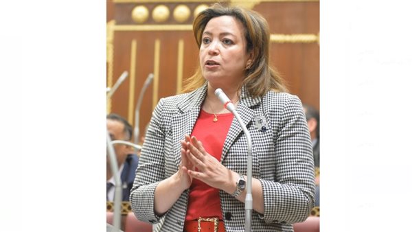 النائبة سماء سليمان