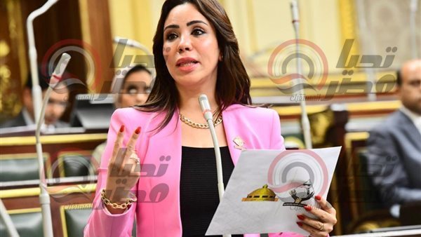 النائبة غادة علي