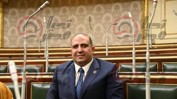 النائب محمد سليم،