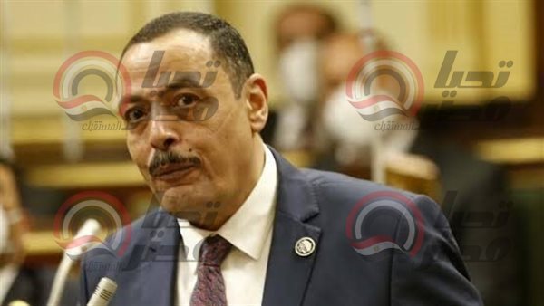 النائب أشرف أمين