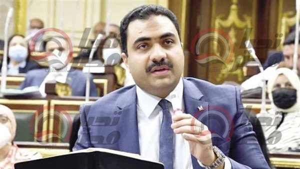 النائب محمود قاسم