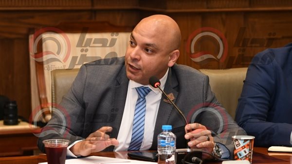  النائب محمود القط