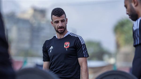 محمود متولي 