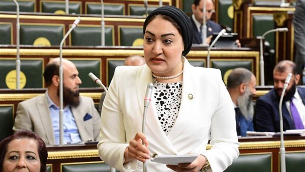 النائبة أسماء الجمال