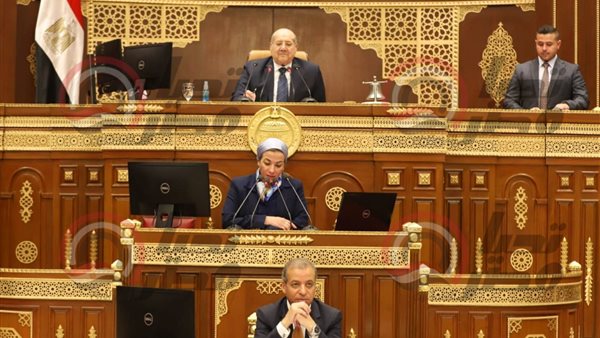 مجلس الشيوخ