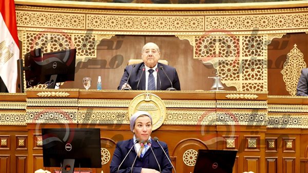 مجلس الشيوخ