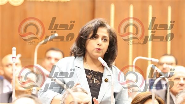 النائبة إيريني ثابت