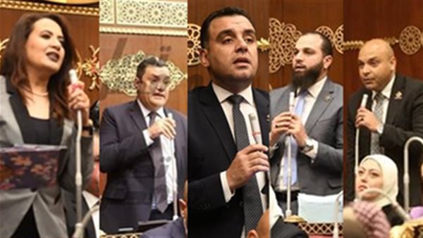 نواب تنسيقية شباب