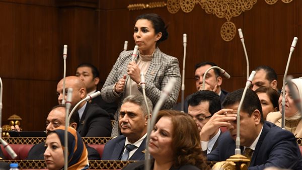 النائبة سها سعيد