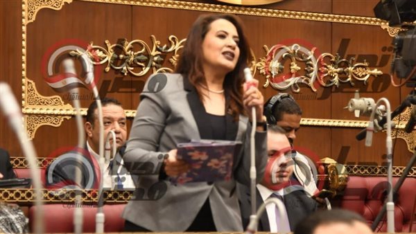 النائبة راجية الفقي