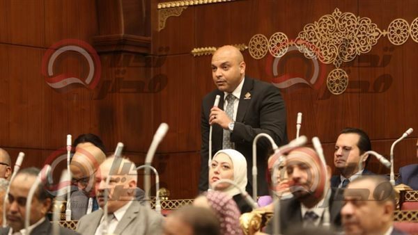  النائب محمود القط