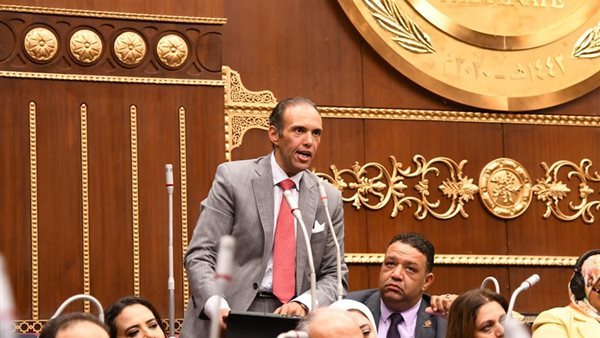 النائب محمد فريد