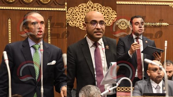 نواب تنسيقية شباب