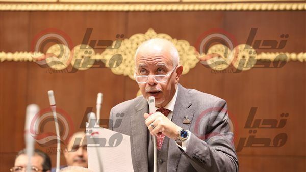 النائب حازم الجندي