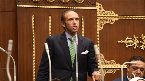 النائب محمد فريد