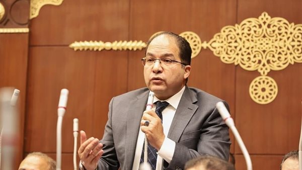  النائب عادل اللمعي