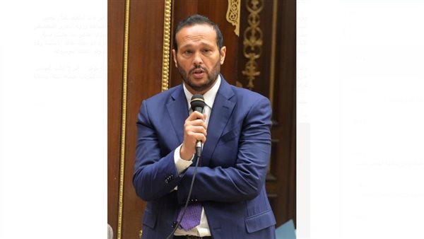 النائب محمد حلاوة