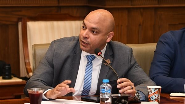 النائب محمود القط