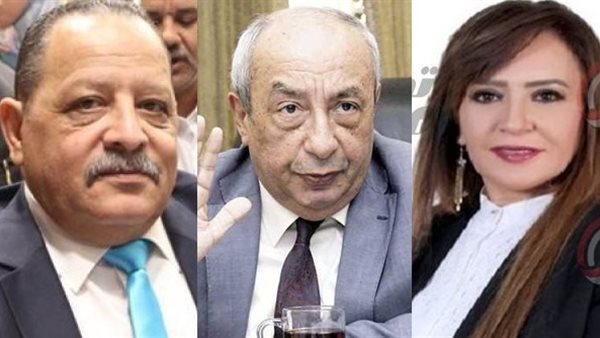 جيهان البيومي، طارق