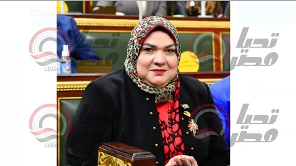 النائبة الدكتورة