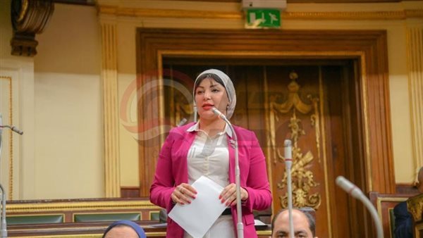 النائبة رشا أبو شقرة،