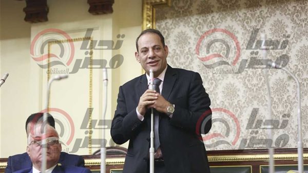 النائب إبراهيم عويس