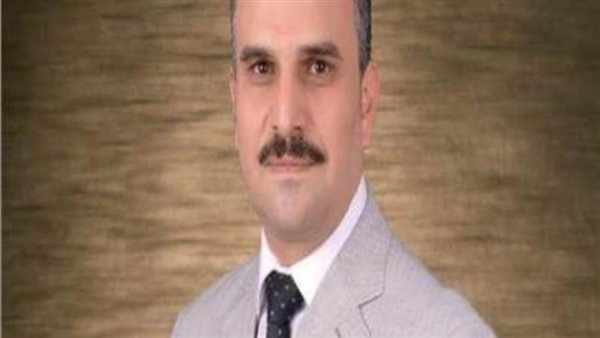 النائب محمد حمدى