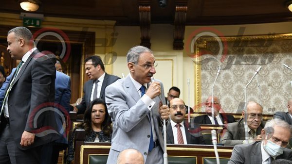 النائب مجدي ملك