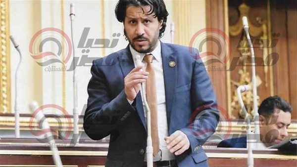 النائب أحمد البرلسي،