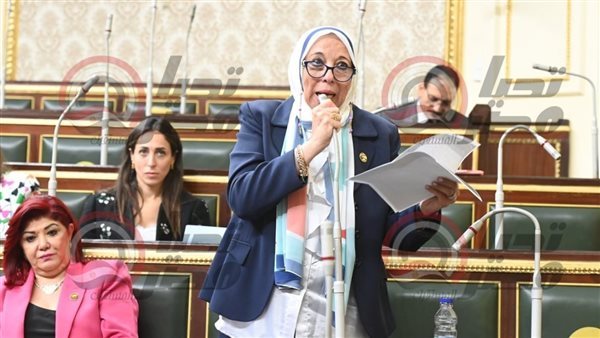 النائبة سهير عبد