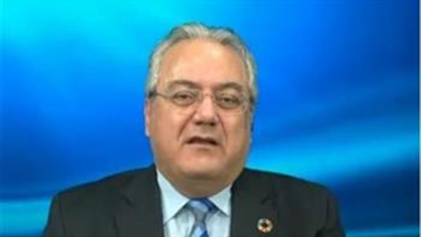 الدكتور مالك شرقاوى