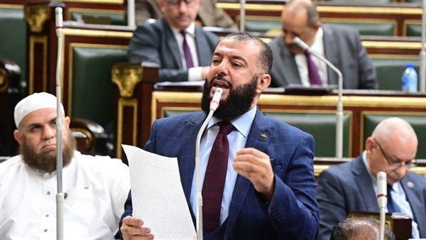 النائب أحمد خليل