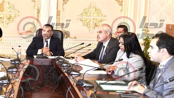  لجنة الشئون الافريقية