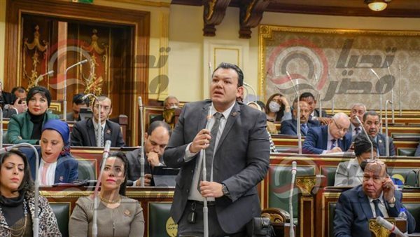 النائب أحمد مقلد