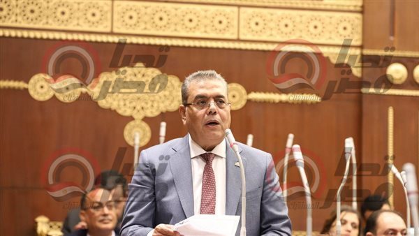  النائب محمود منصور