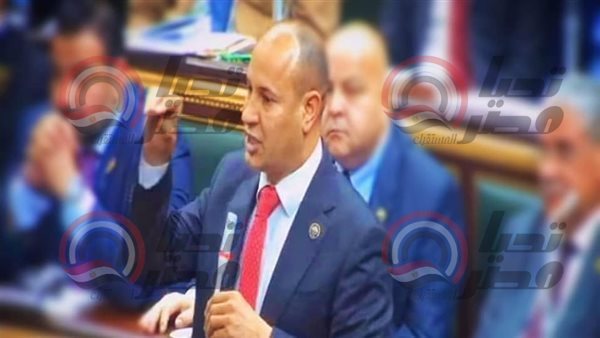 النائب نبيل عسكر